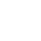 twitter icon